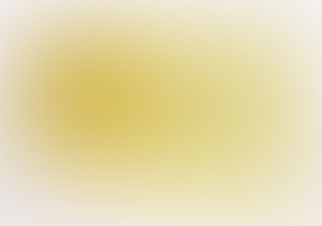 网站攻击软件工具